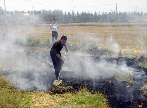 �ոѱ�����ľú�� �����ֻ���