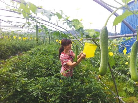 ���롰����֤���ſɲ��ײ�����