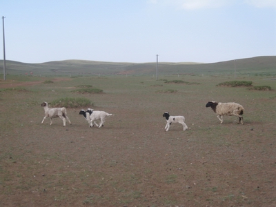 40��������ԭ��̬143��ũ��������