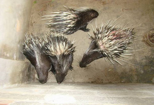 ��¡�������������������� ��ϡ�������¸�·