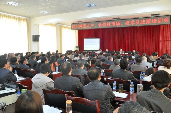 ����С���ҵ������ϵ���Ĵ��ٰ�����󻧡������缰��ҵ�г���������������ѵ��