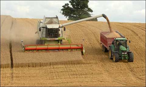 ����������Ӣ����ʳ����Ӧ�� 11�����״ν���