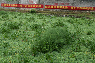 ũҵ��������������������������һ�̣�ͼ��5��