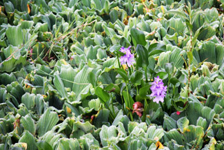 ũҵ��������������������������һ�̣�ͼ��4��