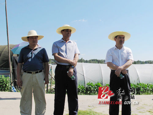 ʡũҵ��Ѳ��Ա���ȹ������У��ֳ�������ա�