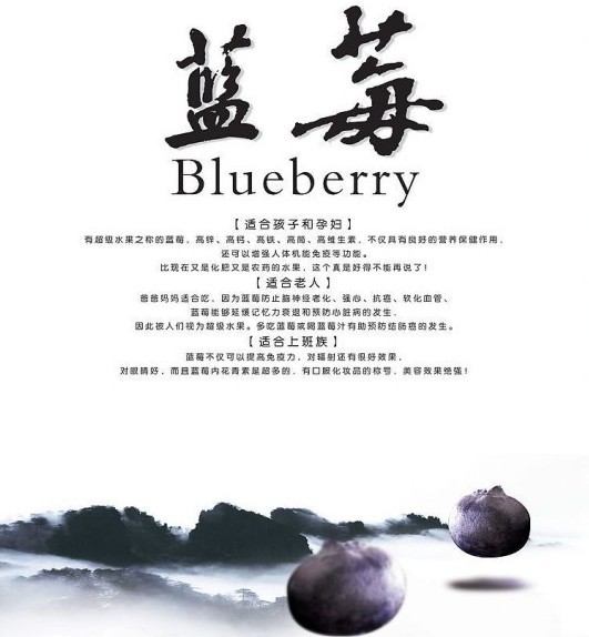 �ҹ���ݮ��ҵ��չ��������ǰ����ͼ��1��