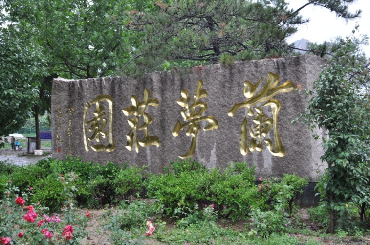 �ҹ���ݮ��ҵ��չ��������ǰ����ͼ��2��