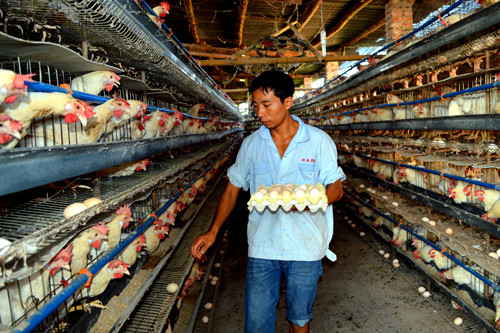 ����н���紴ҵ ��ѧ���������¸���·