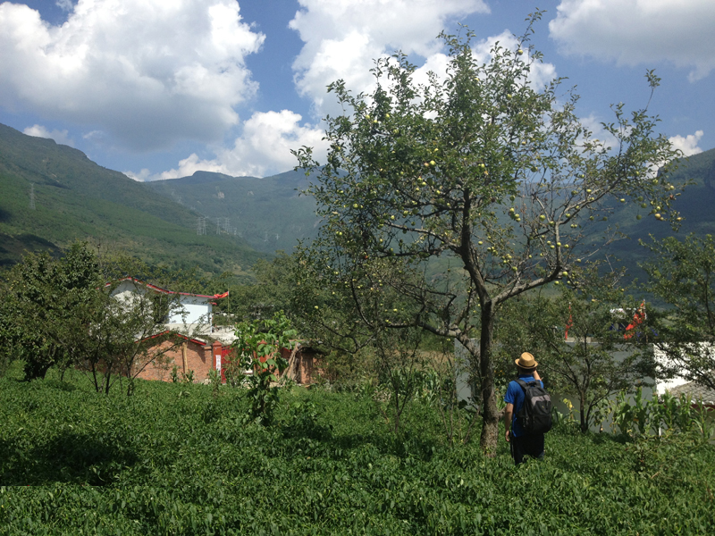 ũ������������Ѿ�˶������