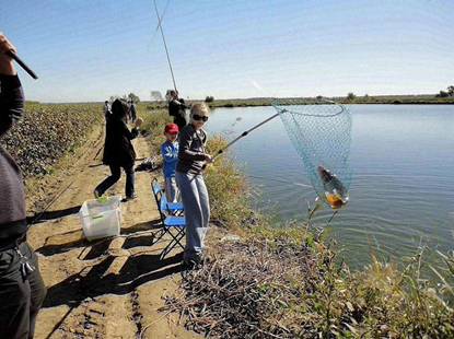 ����б�������ׯ��С����ͷ��