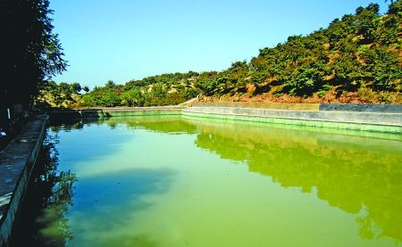 ɽƺ��������ˮ��ȫ������źũ������20��