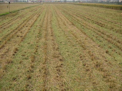 �ո�ȫ�������������Ч��