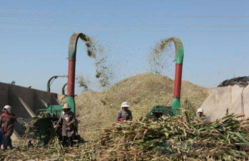 �ոѼӹ�����