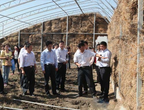 �����Ա�ι۽ոѱ���ǽ