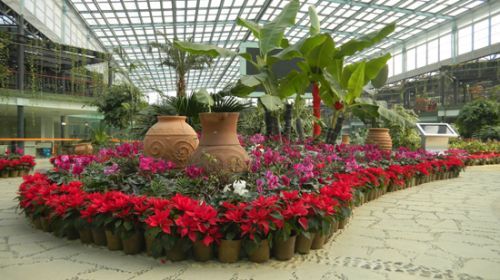 �ո�������Ʒ