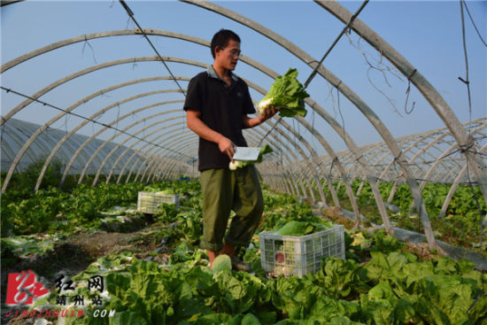 �����繤�����ջ�ײ�