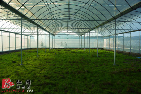 ��ũ�ϲ˲����������½��ɵ������������