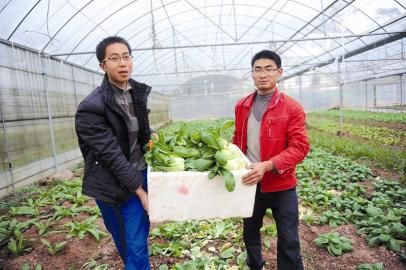 �������ഺ�����ִ�ũҵ��