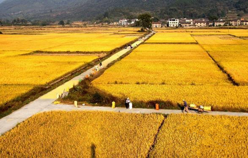 �й��ڶ������ص�����ʾ���ض��2��Ķ