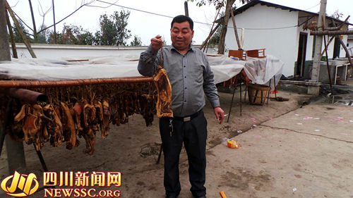 ���´��߻��㡿������̬��ֳ����ϸɡ����ӻ