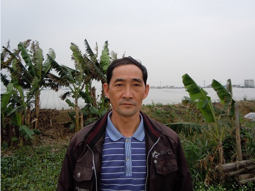 �㶫�麣������Ϻ������93%������