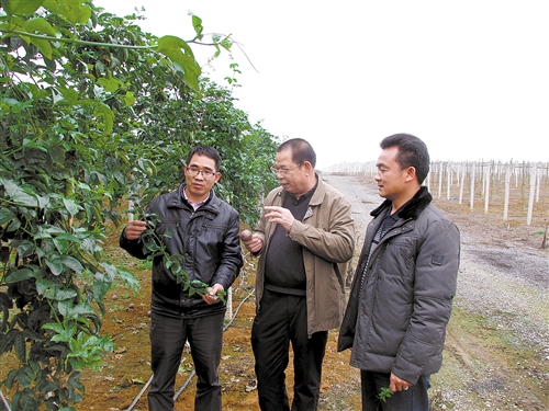 �������������壺���߸硱�ĸ�����