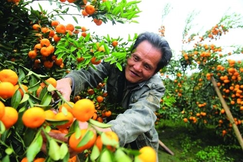 ˮ�����ˡ������ġ������˸��м�����