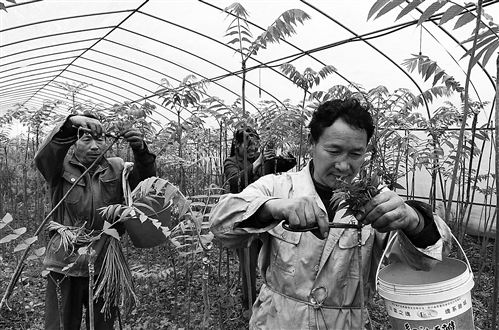 ���������5���ﴻѿ����150����Ԫ