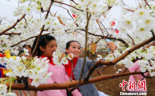 ��Ů���滨����