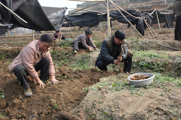 �ӡ����ġ�����١��������Ͱ���������������