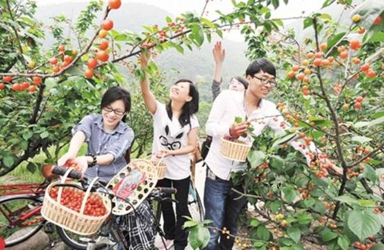 �����Լ�����ӣ�ҽ� ��΢Ӫ����Ч���