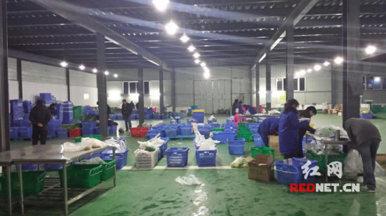 (��ɳ��ũ��Ʒֱ�����ͣ���������ҵ�Ӳ���ֱ����Ʒ��ֱ�����͵�ֱ����������������նˣ�������ͨ���ڡ�������ͨ���á�)