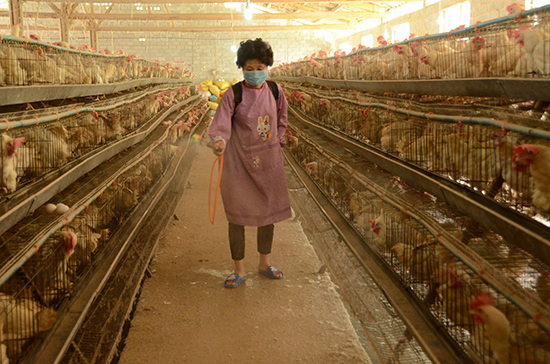 �����Ž�90��С����������統�����ġ�����3