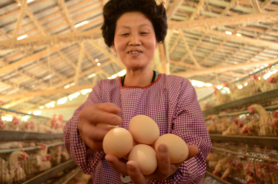 �����Ž�90��С����������統�����ġ�����5