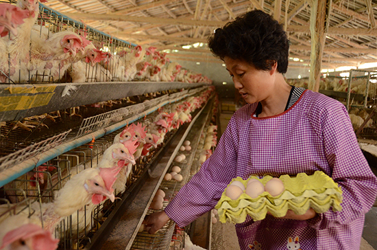 �����Ž�90��С����������統�����ġ�����4