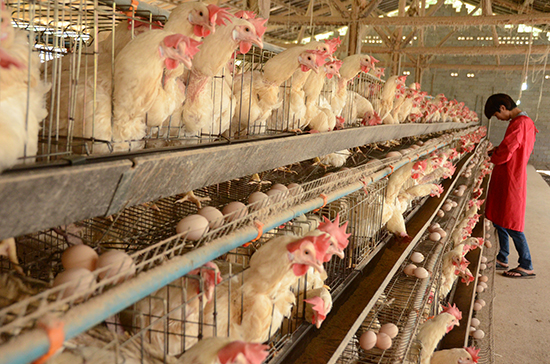 �����Ž�90��С����������統�����ġ�����2