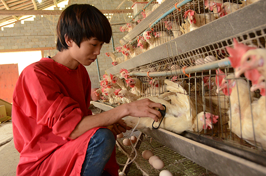 �����Ž�90��С����������統�����ġ�����