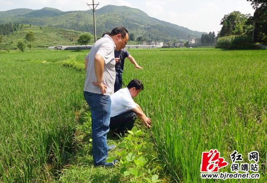 �����أ�ʯ��˳����������ũҵ�������