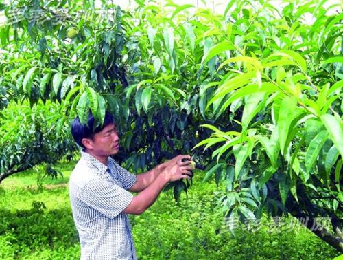 ���ݶ�����������������ר�ҡ������ġ�