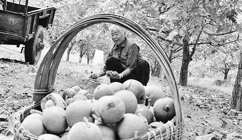 ԭƽ�б��ڴ�ũ���ջ����