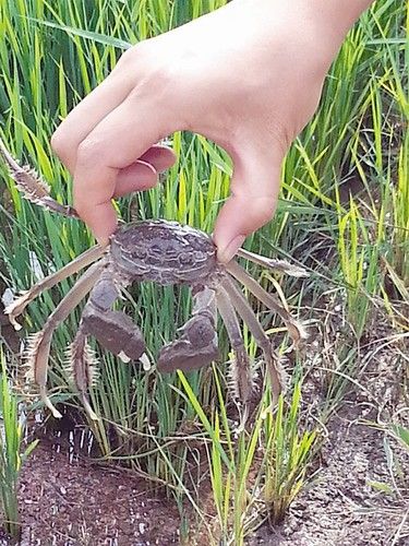 ������з ����ιţ ��������