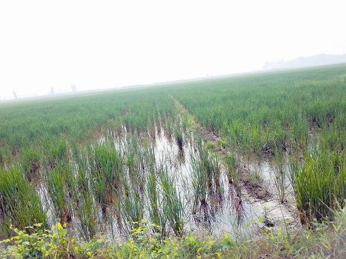 ��̨�������š�ũҵ�ŷ�����