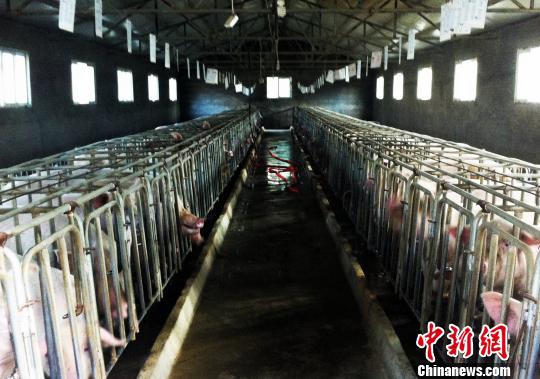 ͼΪ������֧��ũ��������ֳ����չ�弯�徭�á�