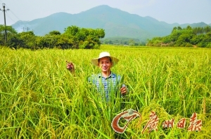 ����ˮ�����˸����컹�й���