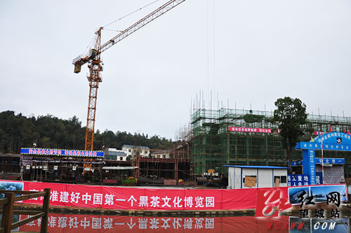 ����������ͺڲ���Ŀ�����ֳ���