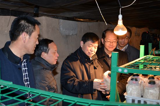 ����󣺼�ǿ�Ƽ�֧�� �ٽ�ת��ʽ���ṹ��������Ч��