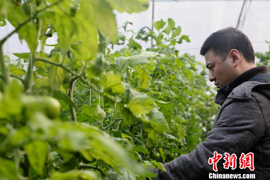 ���ݵ�ǿũ����������ǿ������������߲ɷá�