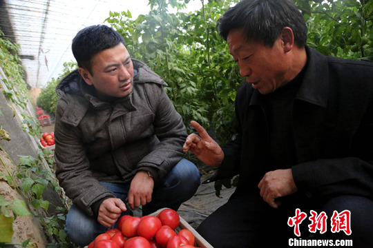 ���ݵ�ǿũ����������ǿ�ڲ鿴ů���������ĳ���