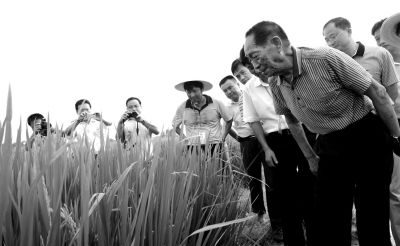 2013��7��30�գ�Ԭ¡ƽԺʿ�ڰ���ʡ����ز鿴�����ӽ������ơ�