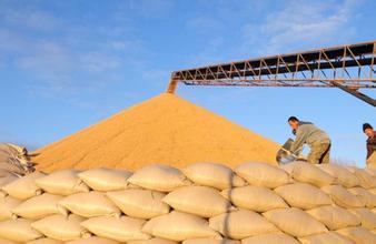 δ��10�����ϲ����������� �������׽�������